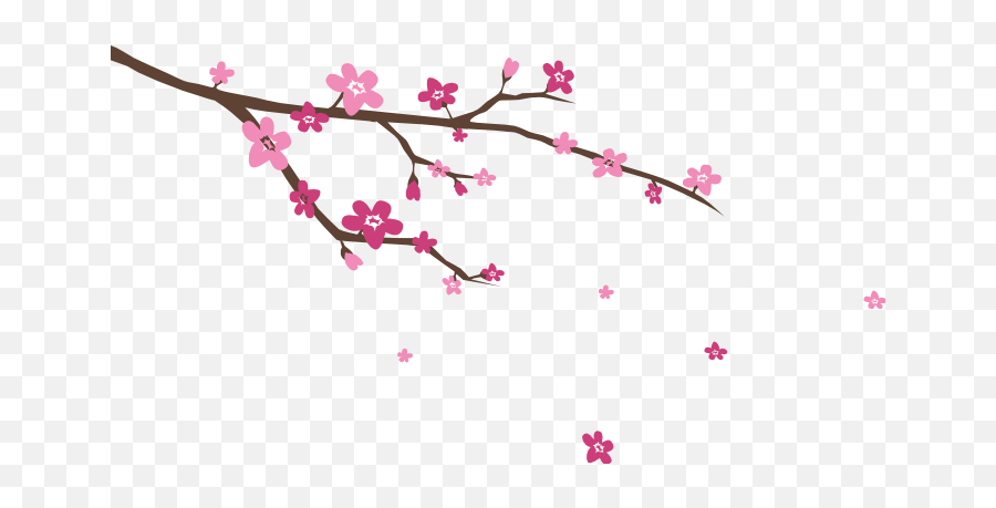 Download Image Blossoms Wall Decal - Cherry Blossom Png,Cherry Blossom Branch Png