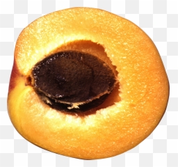 Peach Png Image Food Mood Boards