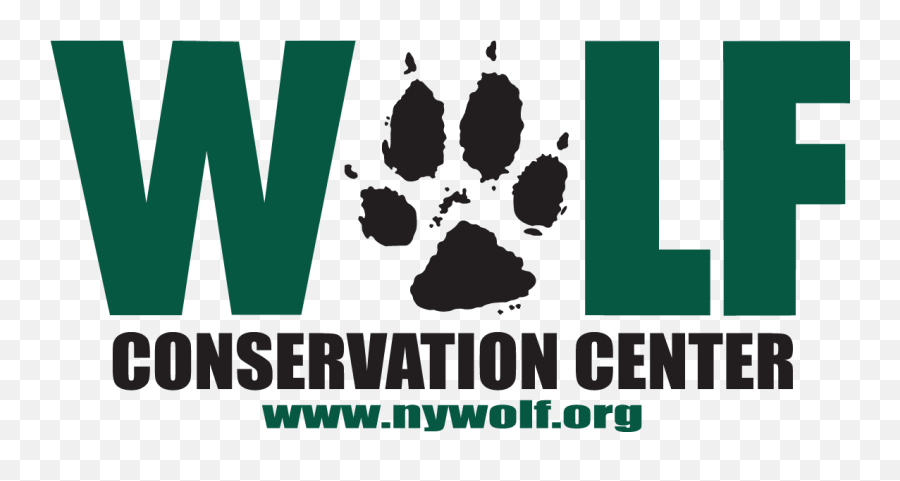 Debate Among Scientists Over Wolf Effect In Yellowstone - Wolf Conservation Center New York Png,Overwolf Logo