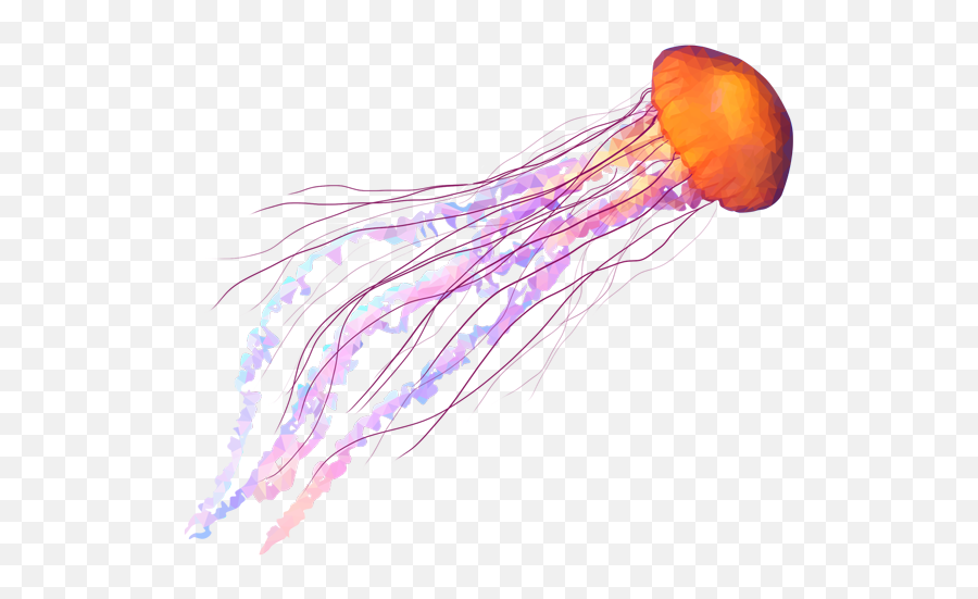 Jellyfish - Candela Labs Candela Labs Jellyfish Png,Transparent Jellyfish
