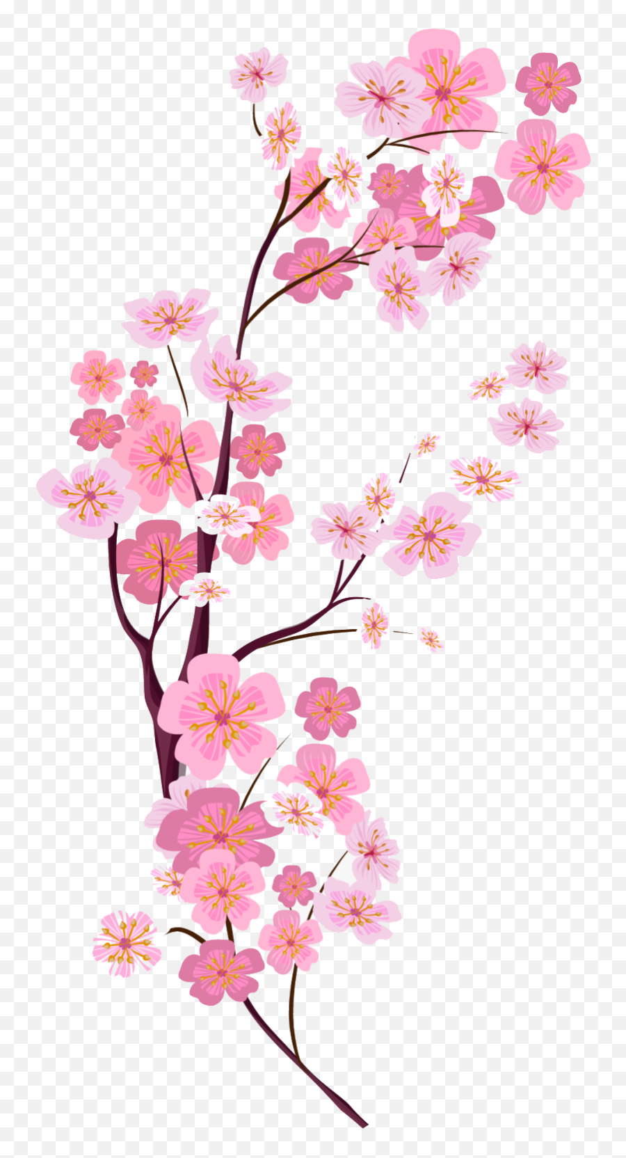 Collection Of Peach Blossom Png Images - Cherry Blossom Png,Tong Hop Icon Dep
