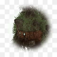Lazy Tree Spirit - BDO Codex Fines Herbes png