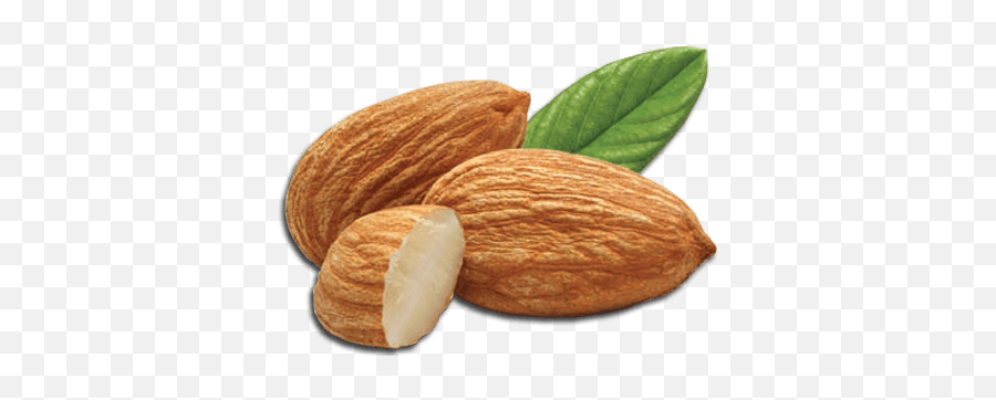 Bowl Of Almonds Transparent Png - Almond Png,Almonds Png
