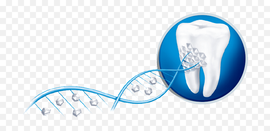 Фтор защита. Фоновое изображение для стоматологии. Зуб на белом фоне.