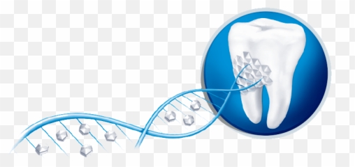 How Do Anti - Sensitivity Toothpastes Work u2014 CrossKeys png