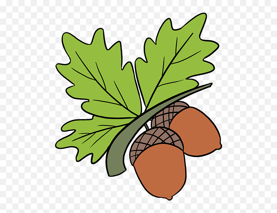 Download How To Draw Acorns - Draw An Acorn Full Size Png Acorn In Tree Drawn,Acorn Transparent Background