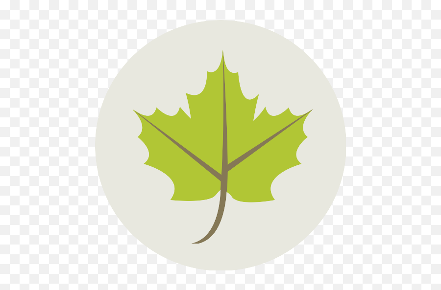 Maple Leaf Png Icon - Autumn Icon Png,Maple Leaf Png