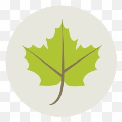 Maple Leaf Png Icon - Autumn
