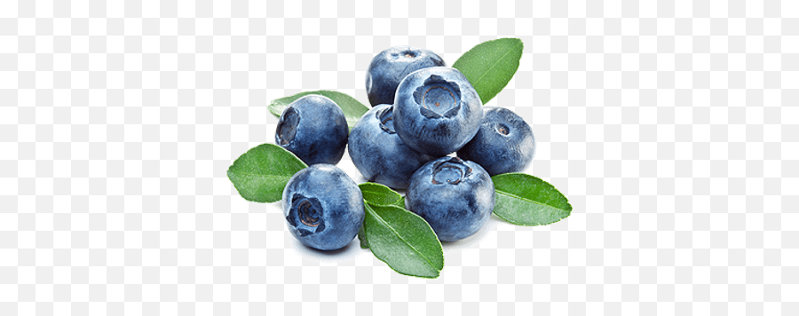 Blueberries Transparent Png Images - Blueberry Transparent Background,Blueberries Png