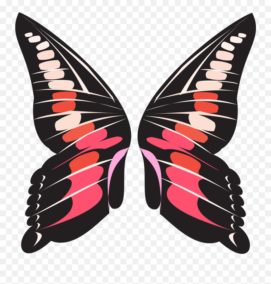 Butterfly Wings Pink - Black Butterfly Wings Png,Butterfly Wing Png