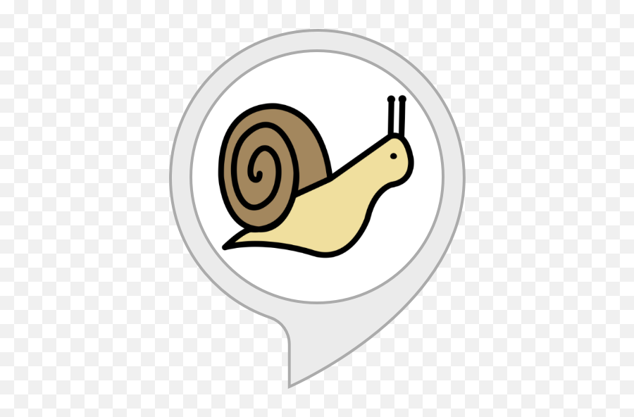 Amazoncom Snail Facts Alexa Skills - Cartoon Snail Png,Snail Transparent