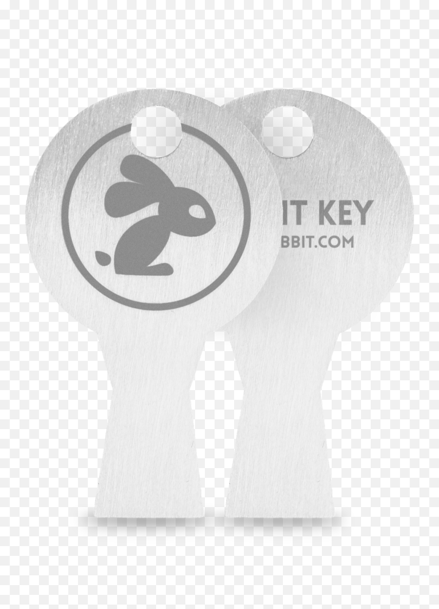 Rabbit Key Aeon Png Keys