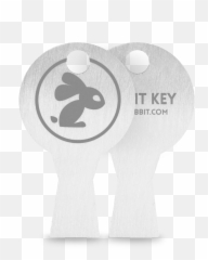Rabbit Key Aeon Png Keys