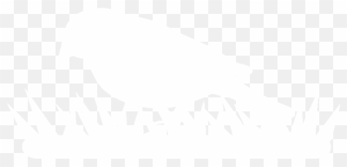 American Crow Logo - Illustration Png,Crow Logo