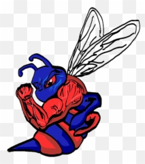 Albemarle Road Middle School Hornet - Albemarle Road Middle Hornet Png,Hornet Png