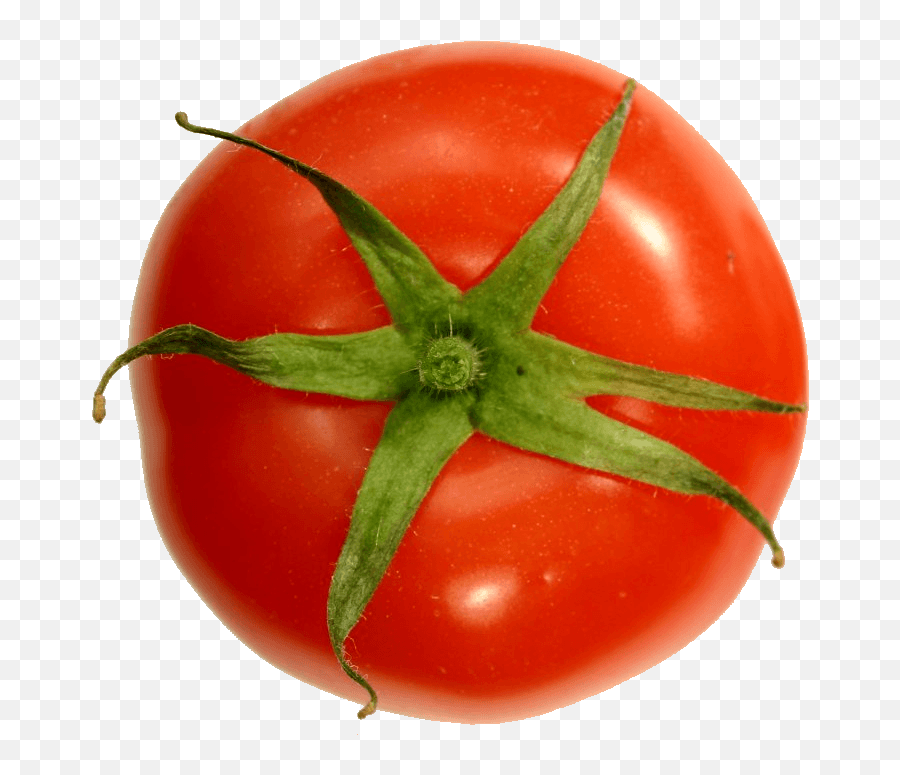 Download Hd Growing Tomatoes - Tomato Top View Png Tomato Top View Png,Tomato Transparent