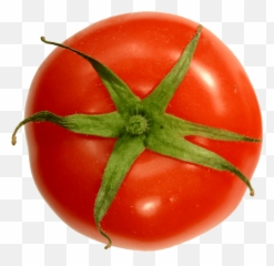 Download Hd Growing Tomatoes - Tomato Top View Png Tomato Top View Png,Tomato Transparent