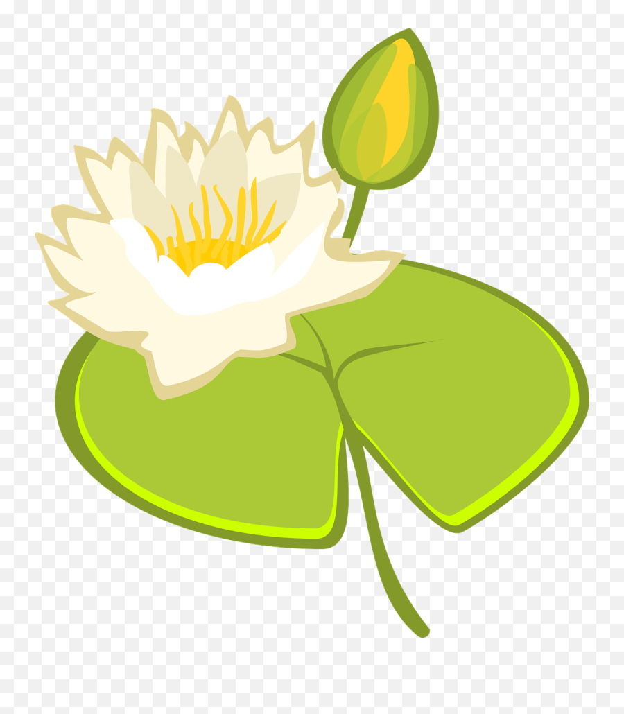 Water Lily Lake - Free Vector Graphic On Pixabay Clip Art Png,Water Vector Png