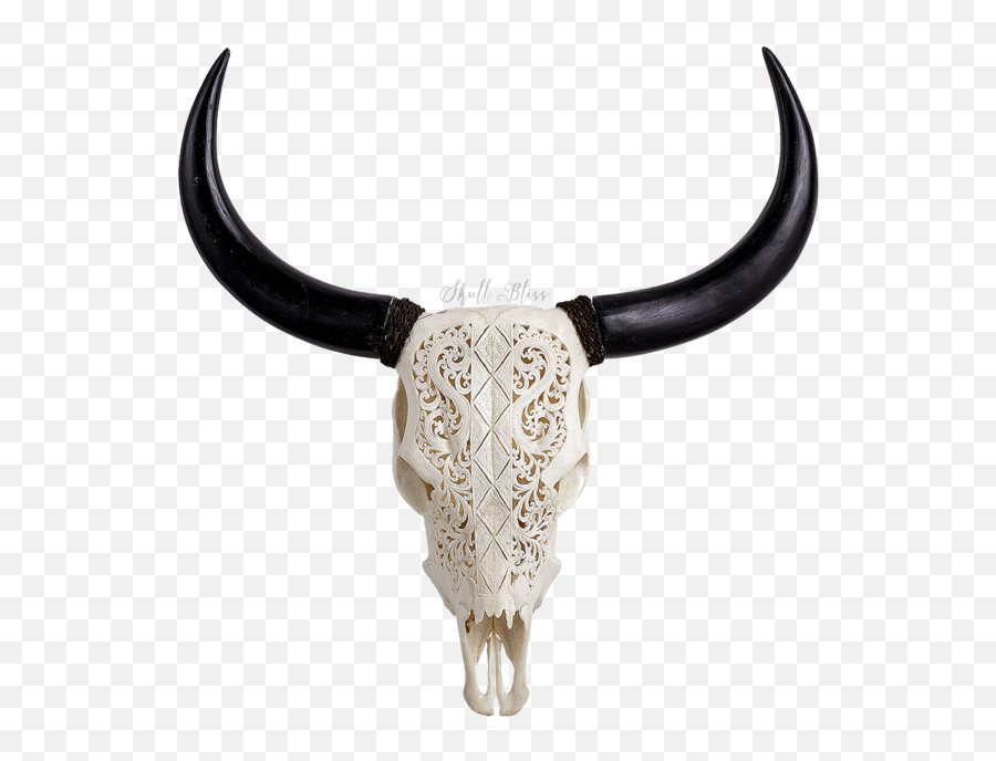 Bull Horns Png - Cattle,Bull Horns Png