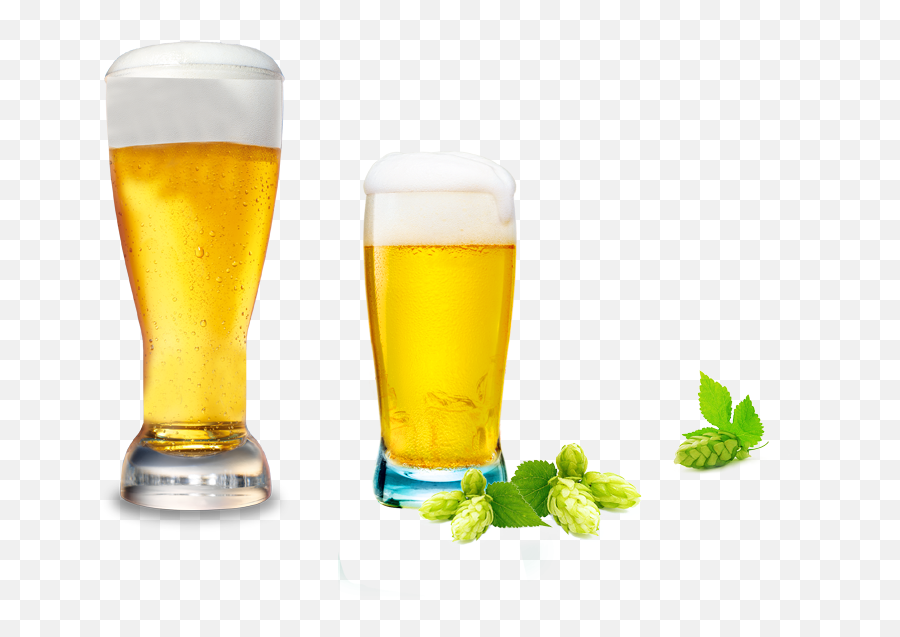 Download Hd Beer Cup Png Banner Transparent - Cup Beer Banner Image Hd,Modelo Beer Png