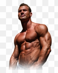 Shirtless Man Shirtless Man Png Muscle Man Png Free Transparent Png