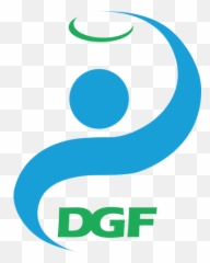 Disc Golf Foundation - Vertical png