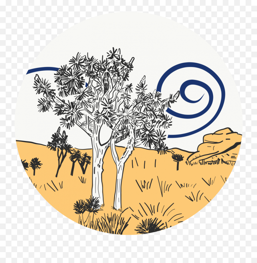 Download Joshua Tree - Drawing Png,Joshua Tree Png