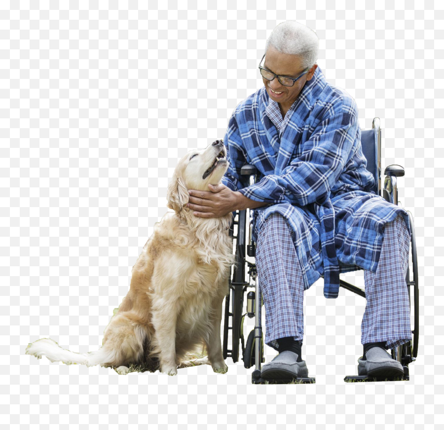 002 - Elderly Entourage Therapy Dogs African American Png,Entourage Png