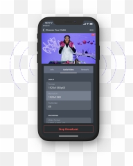 Teradek Vidiu X - Language png