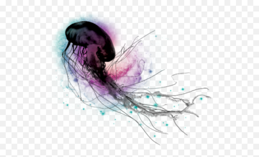 Jellyfish Png - Png,Transparent Jellyfish