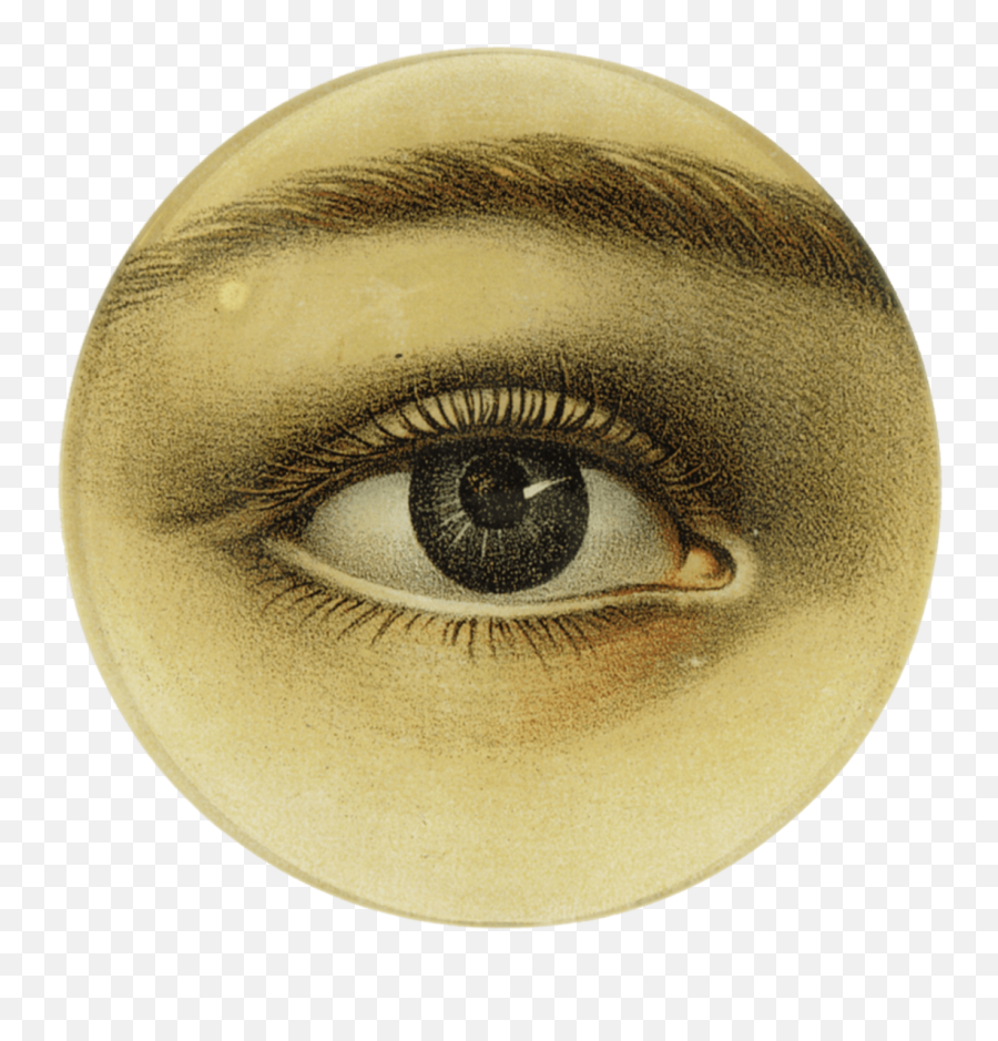 John Derian Left Eye Round Plate - John Derian Left Eye Png,Iris New York Fashion Icon