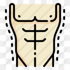 Torso - Clip Art Png,Torso Png