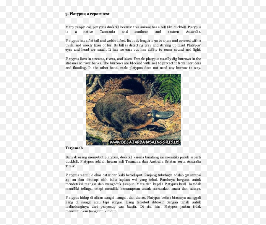 Doc Teks Report Tika Wulandari - Academiaedu Boar Png,Platypus Png