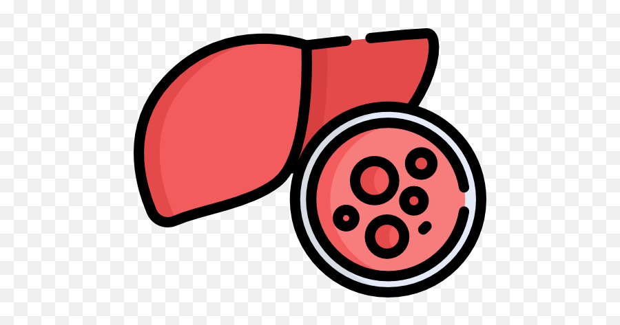 Liver Cancer - Liver Cancer Icon Png,Liver Png