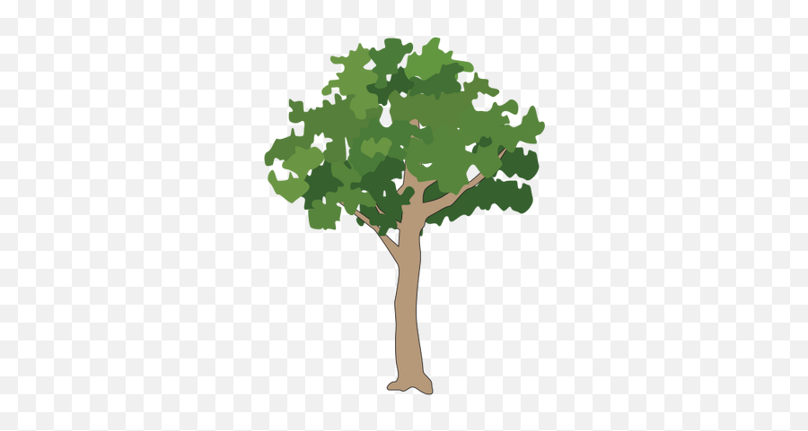Icon Png Small Tree Download - Vector Tree Icon Png,Tree Icon Png
