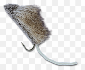 Mighty Mouse - 4 Muskrat Png,Mighty Mouse Png