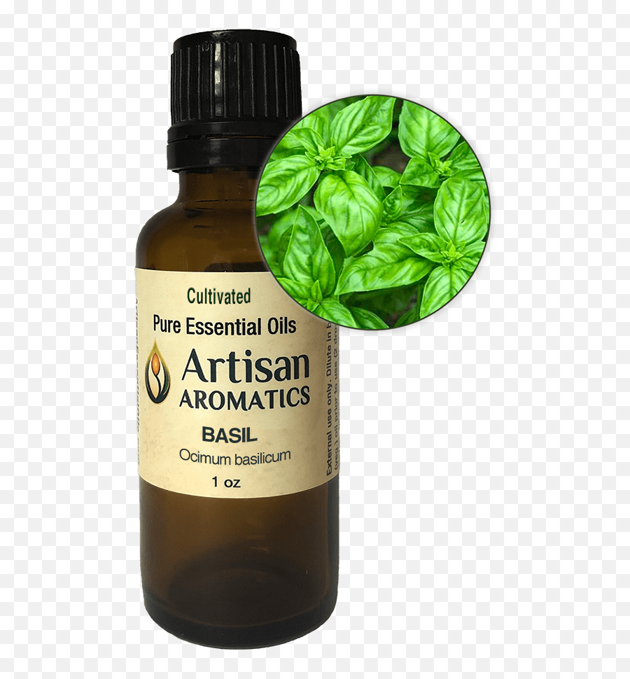 Basil Essential Oil - Restricted Basil Plant Png,Basil Png