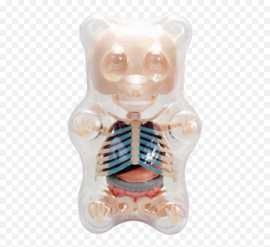 Clear Gummi Bear Funny Anatomy - Portable Network Graphics Png,Skeleton Transparent