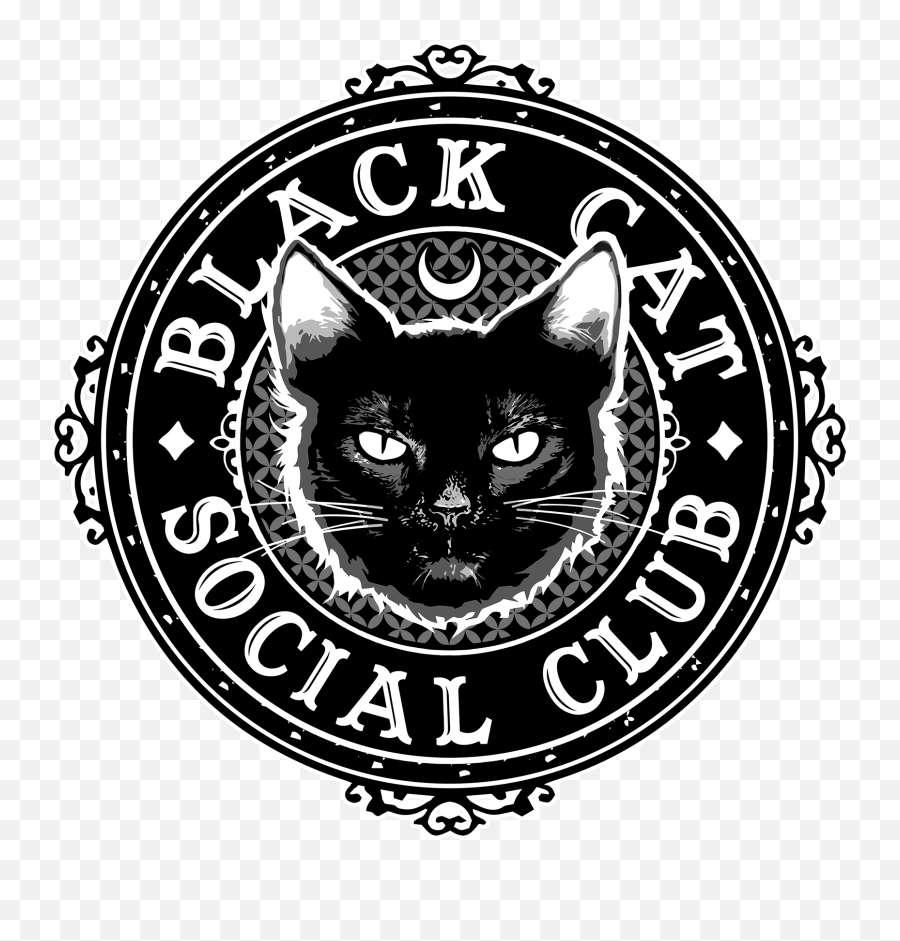 Black Cat Merch Teespring - Truong Cao Dang Duc Tri Png,Black Cat Logo