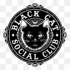 Black Cat Merch Teespring - Truong Cao Dang Duc Tri png