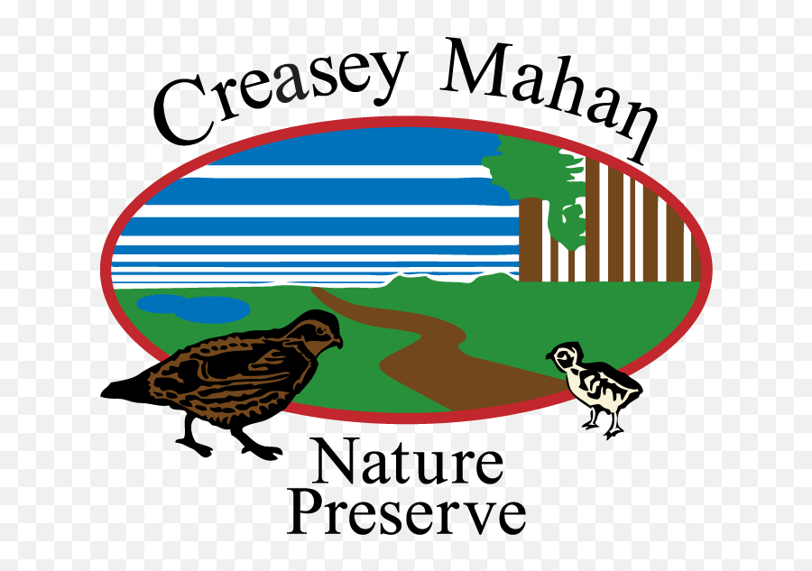 Creasey Mahan Logo - Transparent Background Creasey Mahan City Of Casey Png,Nature Transparent Background