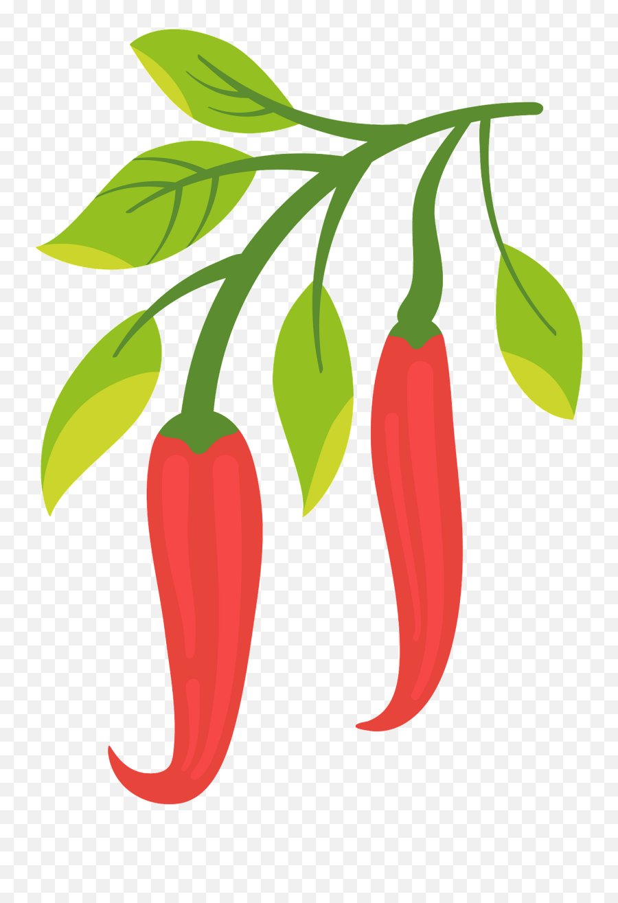 Chili Pepper Clipart Free Download Transparent Png Creazilla - Dibujo Planta De Aji,Chili Png