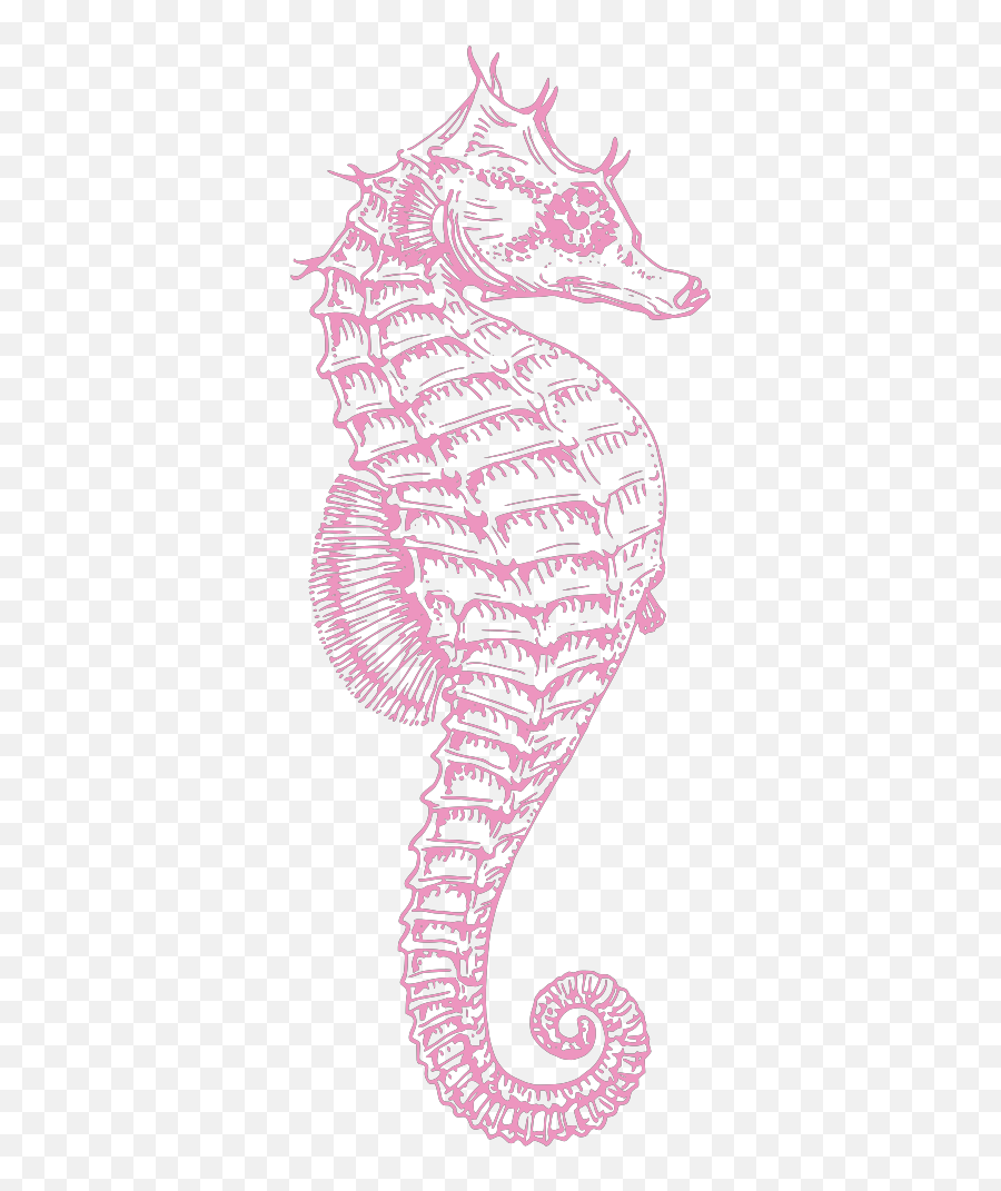 Seahorse Png Svg Clip Art For Web - Clipart Seahorse Png,Sea Horse Png