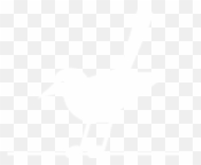 Tequila Mockingbird - Shorebird Png,Mockingbird Png
