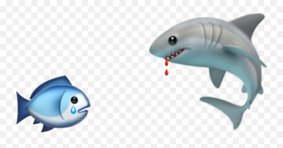Sticker - Great White Shark Png,Fish Emoji Png