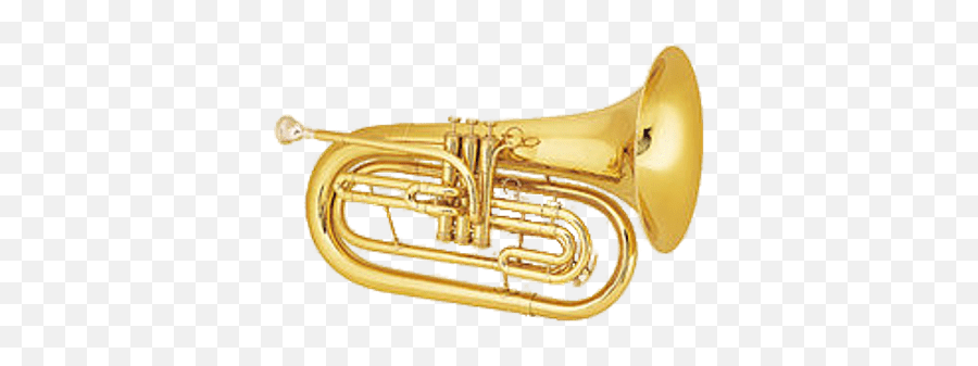 Baritone Horn Transparent Png - Stickpng Baritone Vs Tuba Meme,Trumpet Transparent Background