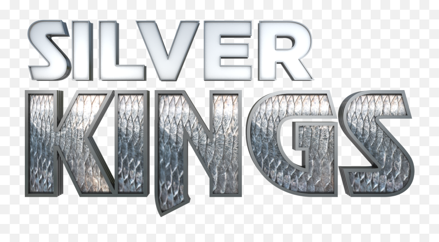 Download Silver King Crown Png - Silver Kings Logo Full Silver Kings Logo,Kings Crown Png
