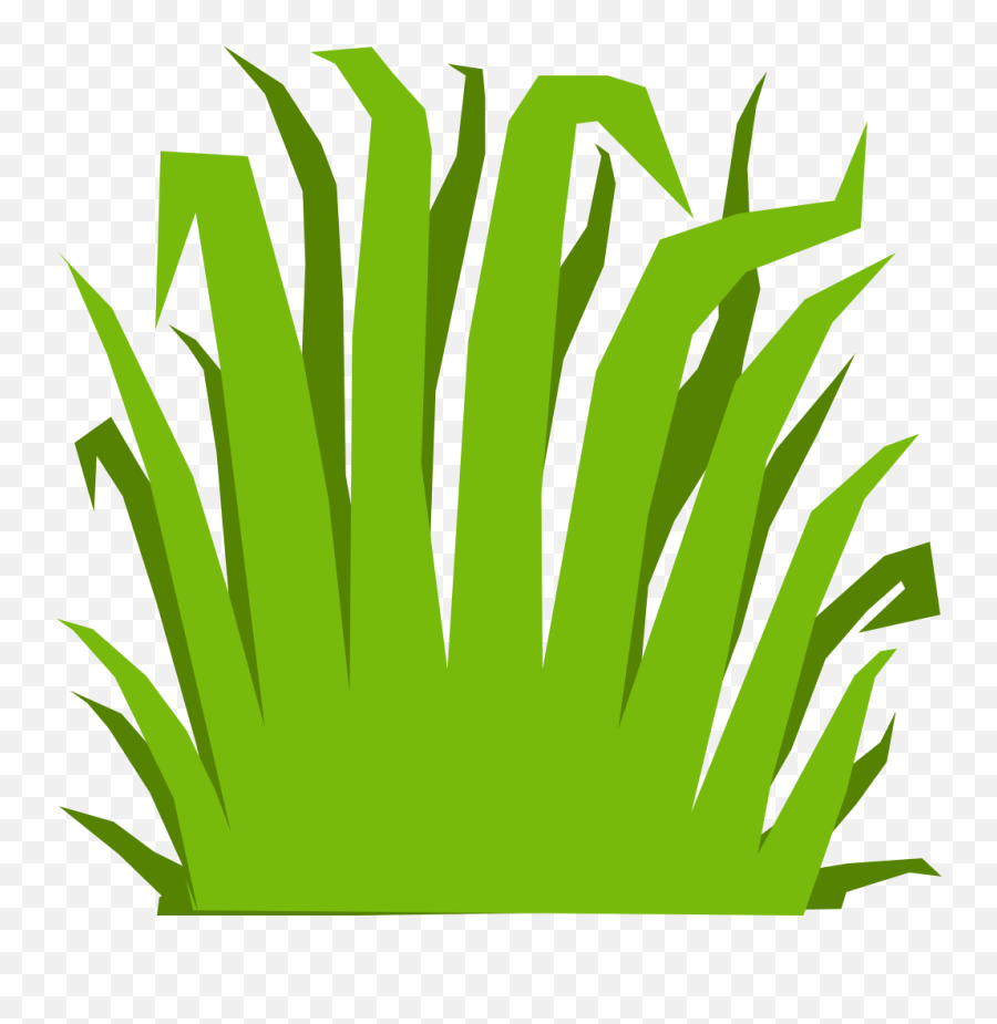 Texture Mapping Computer Animation 3d Graphics - Unity Cartoon Grass Texture Png,Grass Png