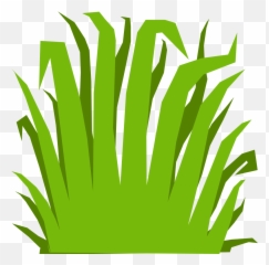 Texture Mapping Computer Animation 3d Graphics - Unity Cartoon Grass png