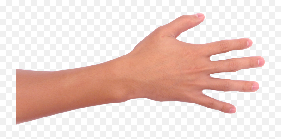 Free Hand - Full Hand Png,Flat Hand Png